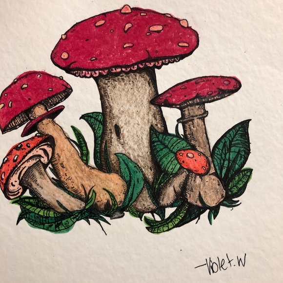 Meet your Posher, Rebekah - Picture 3 of 6